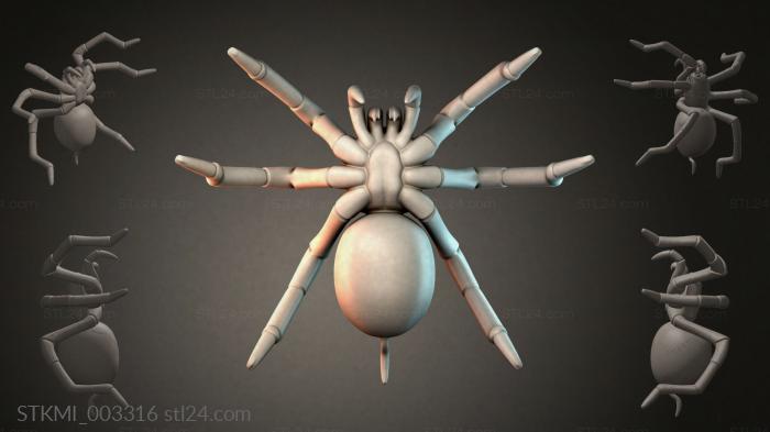 STKMI_003316 3d STL model