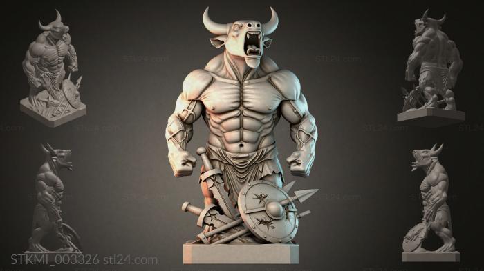 STKMI_003326 3d STL model