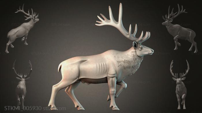 STKMI_005930 3d STL model