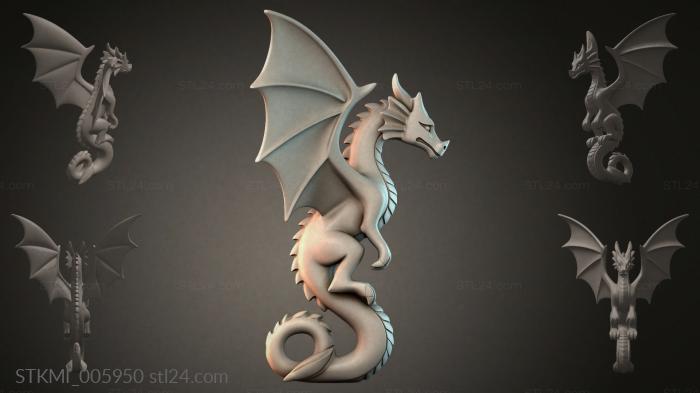 STKMI_005950