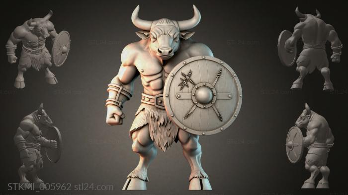 STKMI_005962 3d STL model