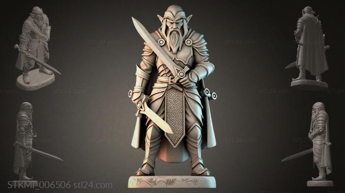 STKMI_006506 3d STL model