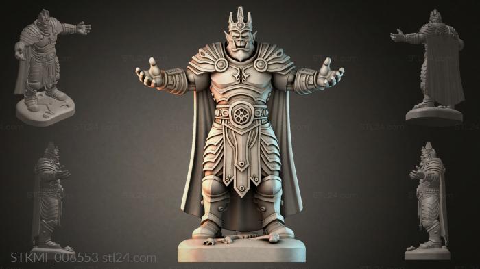 STKMI_006553