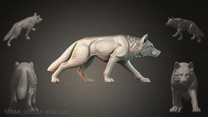 STKMI_006554