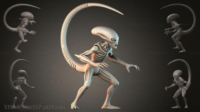 STKMI_006557