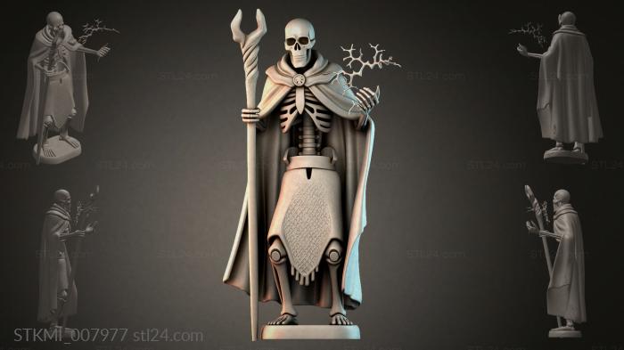 STKMI_007977 3d STL model