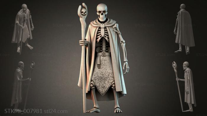 STKMI_007981 3d STL model