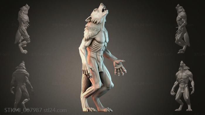STKMI_007987 3d STL model