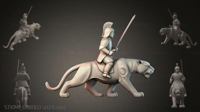 STKMI_008003 3d STL model