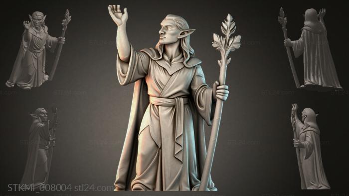STKMI_008004 3d STL model