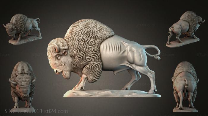 STKMI_008011
