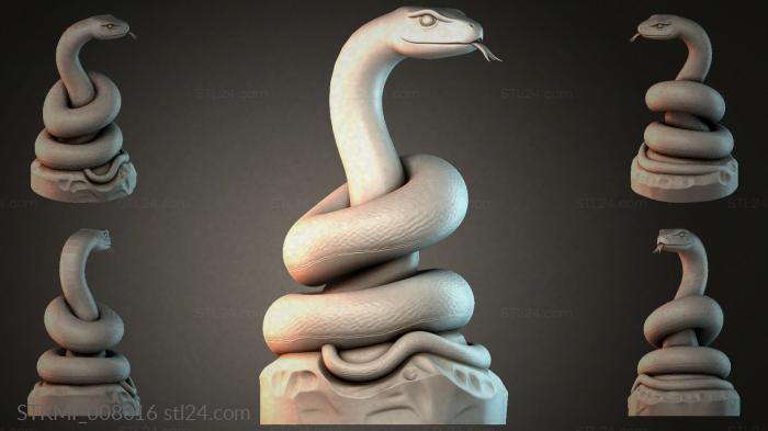 STKMI_008016