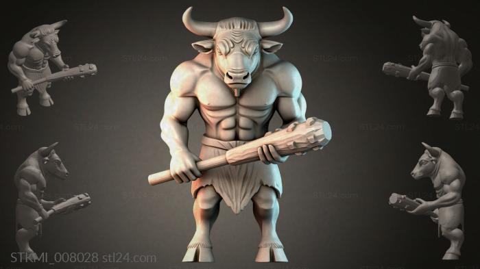 STKMI_008028