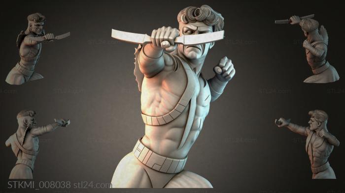 STKMI_008038