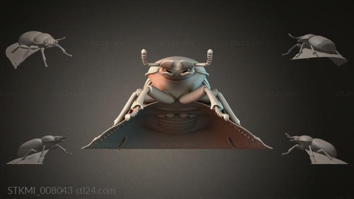 STKMI_008043