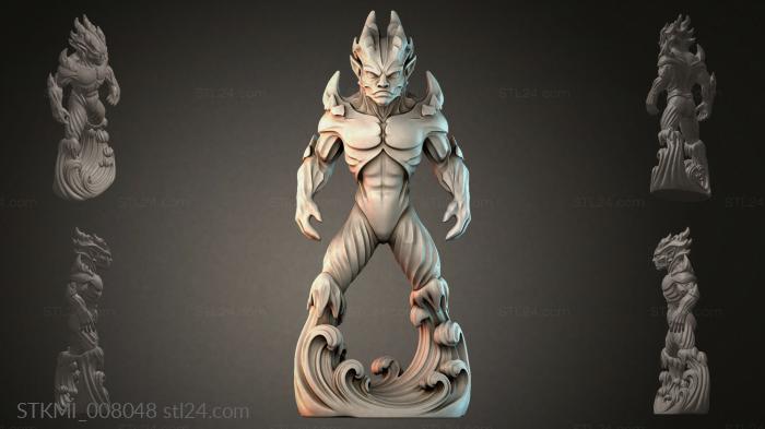 STKMI_008048