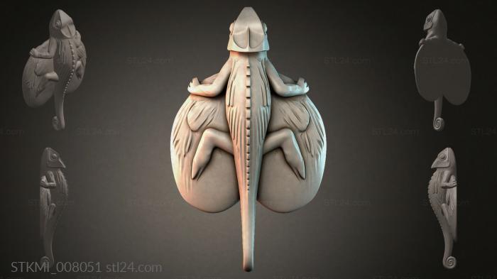 STKMI_008051