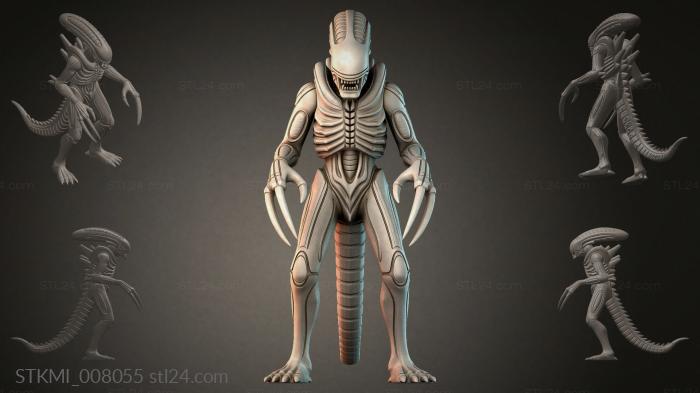 STKMI_008055
