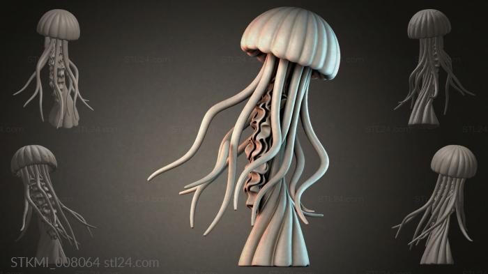 STKMI_008064