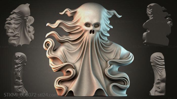 STKMI_008072