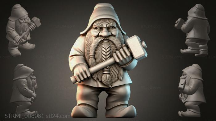 STKMI_008081