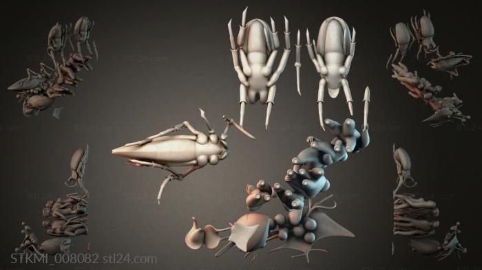 STKMI_008082