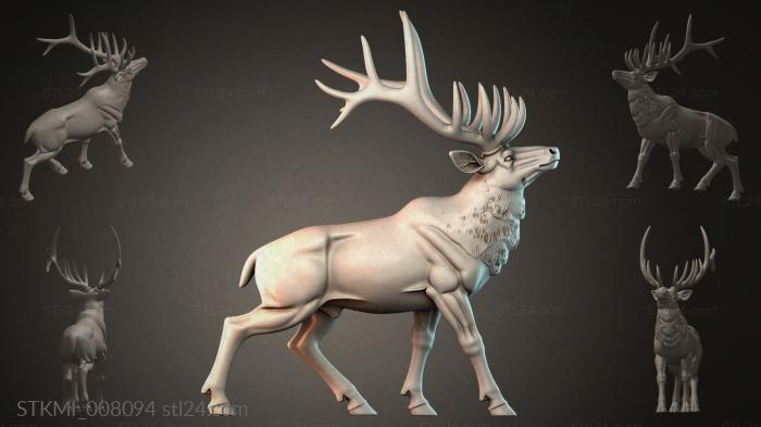 STKMI_008094