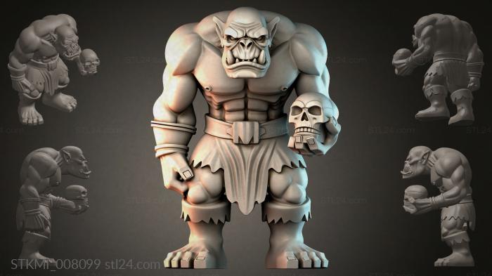 STKMI_008099