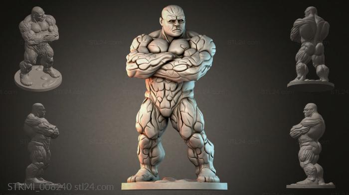 STKMI_008240