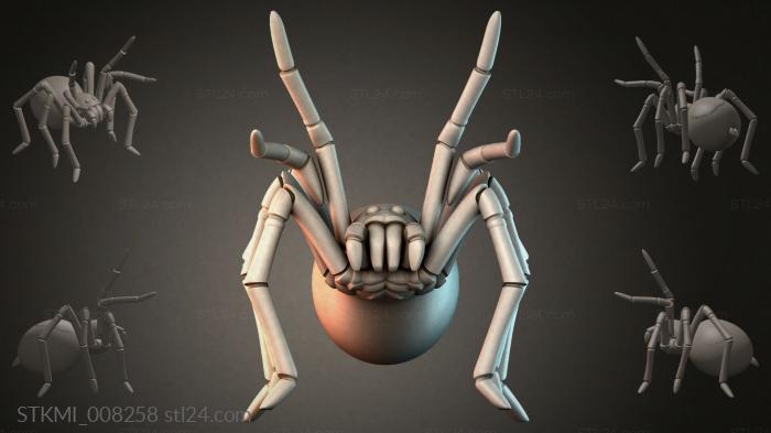 STKMI_008258