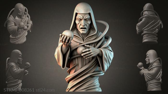 STKMI_008261