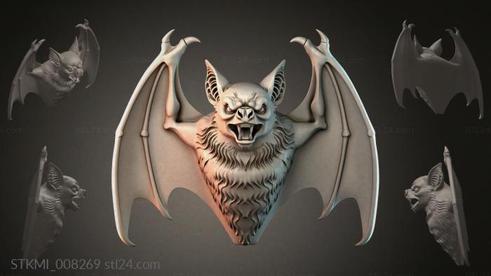 STKMI_008269