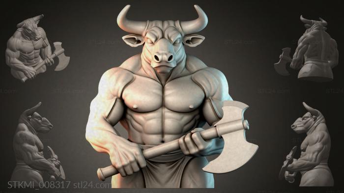 STKMI_008317 3d STL model