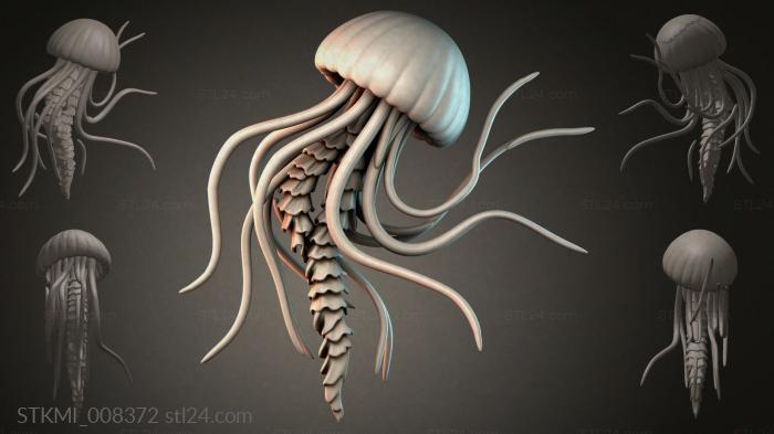 STKMI_008372