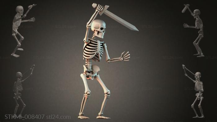 STKMI_008407