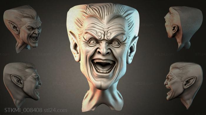 STKMI_008408