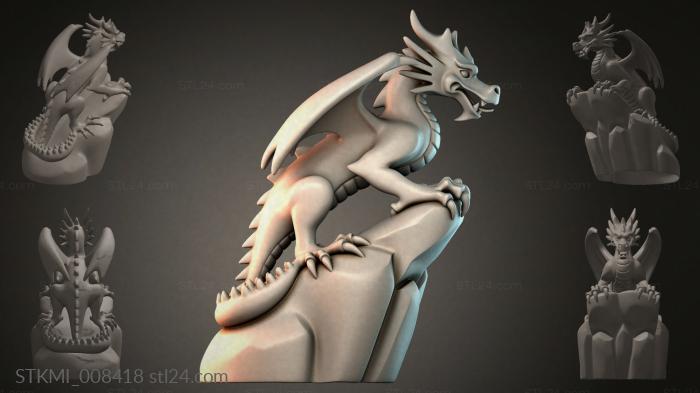 STKMI_008418