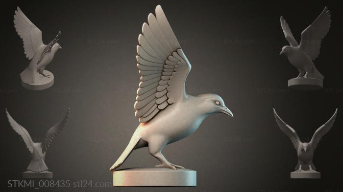STKMI_008435