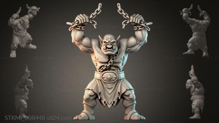 STKMI_008448
