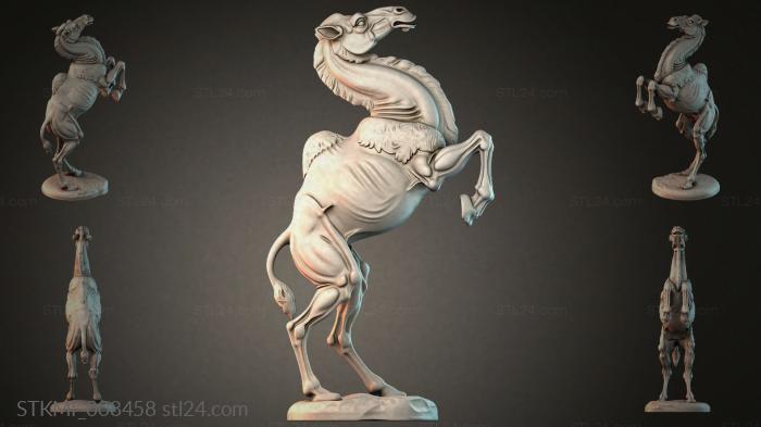 STKMI_008458