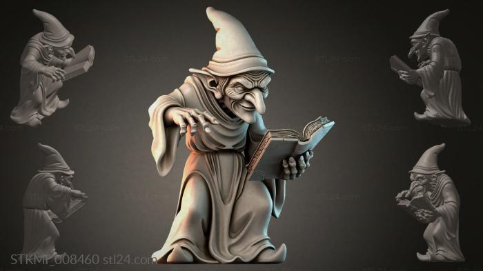 STKMI_008460