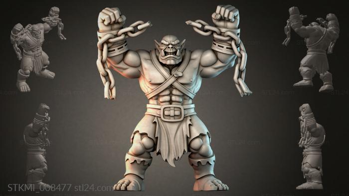 STKMI_008477