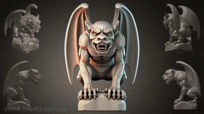 STKMI_008492