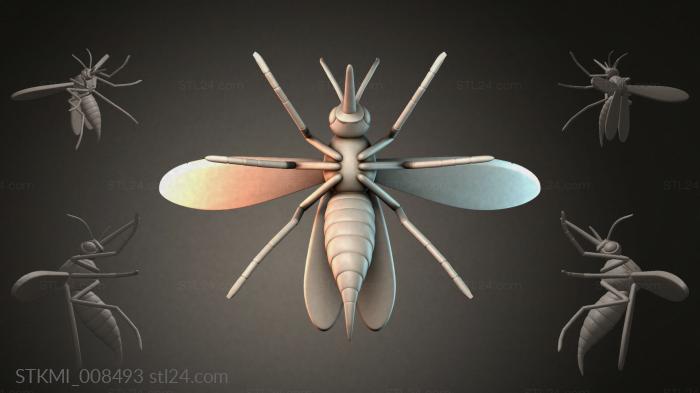 STKMI_008493