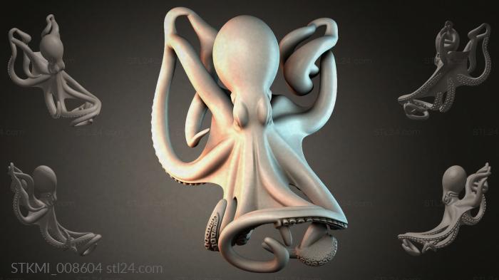 STKMI_008604