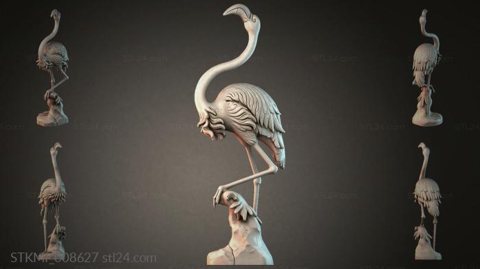 STKMI_008627