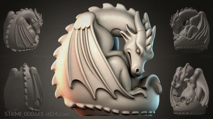 STKMI_008661