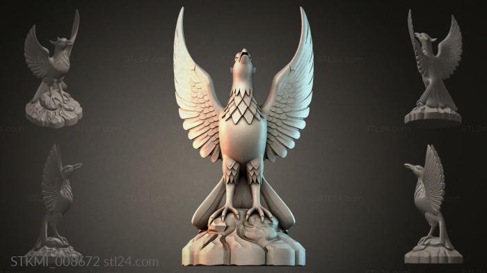 STKMI_008672