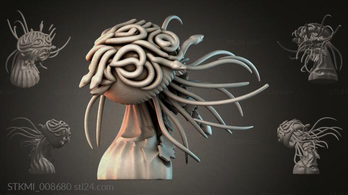 STKMI_008680