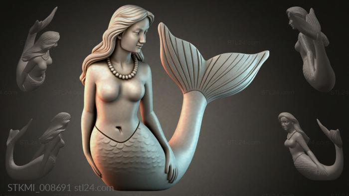 STKMI_008691